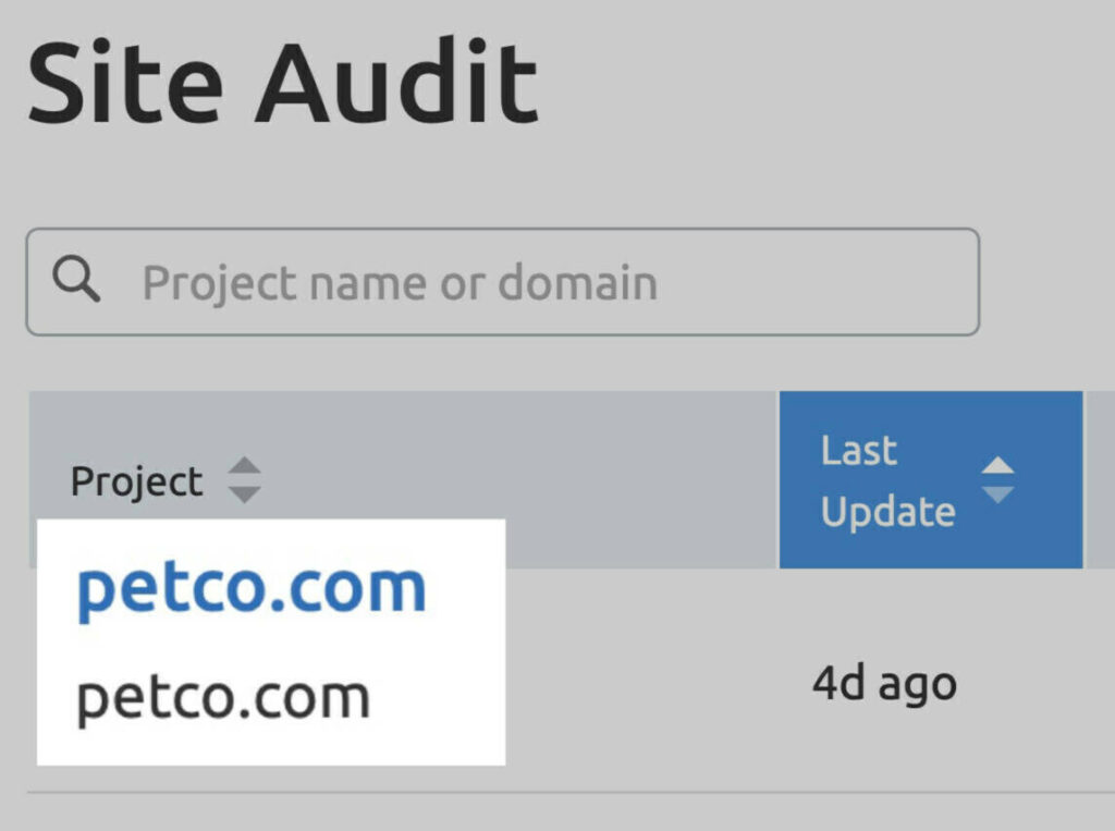 site-audit-projects-28-1024x763