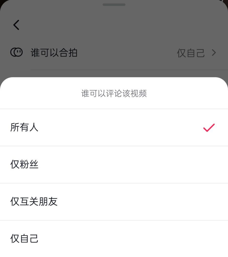 TikTok评论设置权限